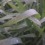1000057885