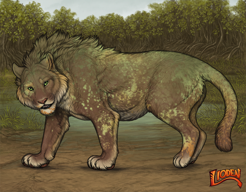 lioden wardrobe 2026 01 23T210202.207.png