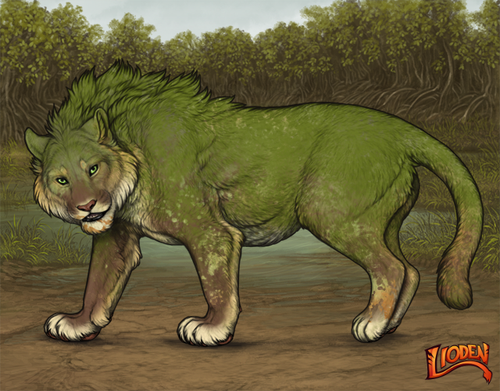 lioden wardrobe 2026 01 23T210737.329.png