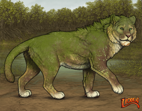 lioden wardrobe 2026 01 23T210809.903.png