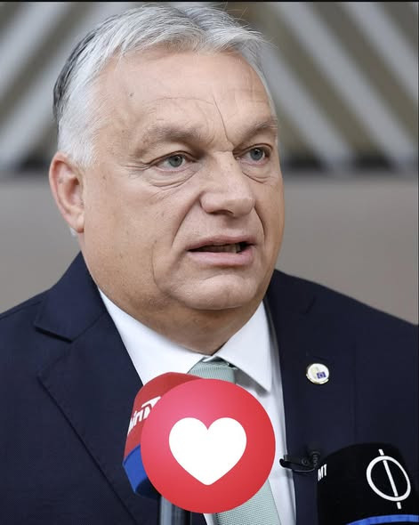 622797422 1358246022982517 8528414264672568688 n.jpg?stp=cp6 dst jpg s590x590 tt6& nc cat=103&ccb=1 .jpg