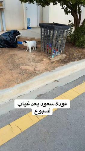 IDDVXY 9y5pCszAl.jpg