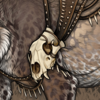 night sky thumb.png