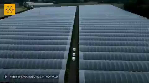 Ut FO9JSeAX1SMSq.jpg