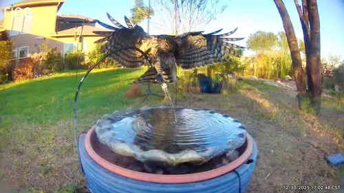 TVBUGa4 BWC7jrdG.jpg