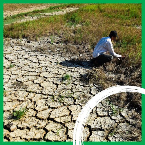 G Z7j9YXYAAiWfo?format=jpg.jpg