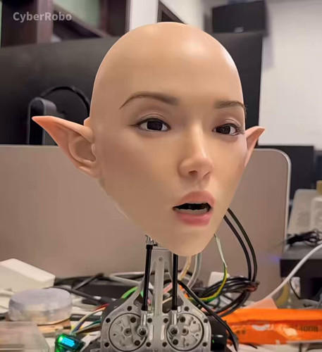 ghMtKv CKTmAPI4e.jpg