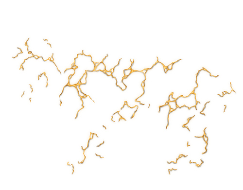 IMG 3819.png