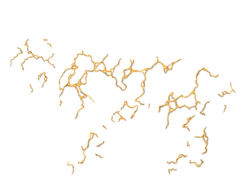 IMG 3822.png