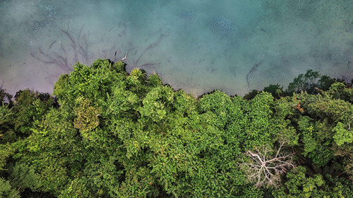 G fFJVwWgAEMIyu?format=jpg.jpg