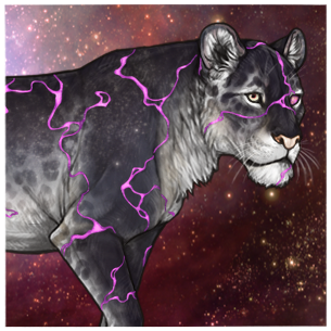 IMG 3756.png