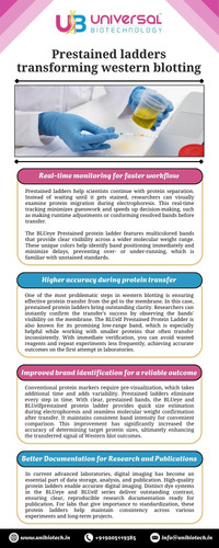 Prestained ladders transforming western blotting.jpg