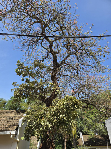 G aeMavXoAAzRnu?format=jpg.jpg