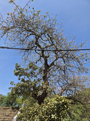 G aeMapXgAAq9fU?format=jpg.jpg