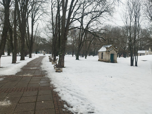 IMG 20260124 133813.jpg