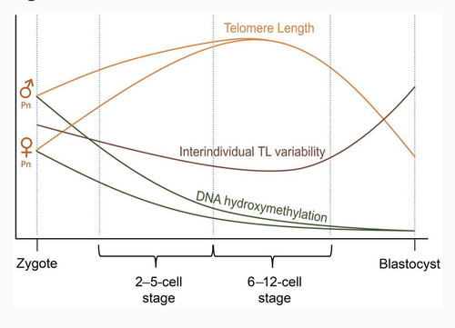 G c blEWsAA2 M4?format=jpg.jpg