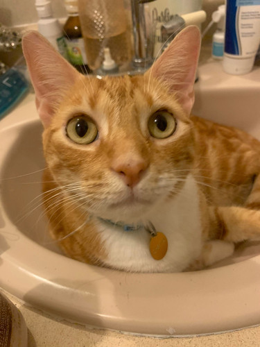 621577404 122272034660185018 4700191070810021147 n.jpg