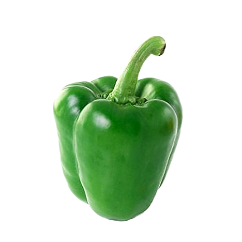 img capsicum.png