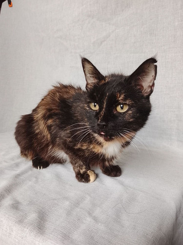 G Wnq9gXoAAw S6?format=jpg.jpg