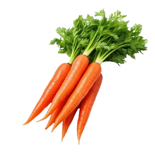img carrot.png