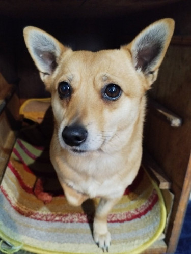 G W4CjOWQAEW7vj?format=jpg.jpg