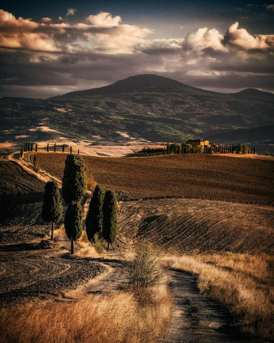 fields.jpg