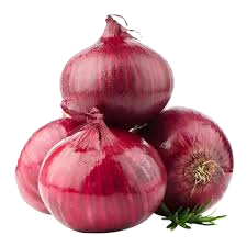 img onion.png