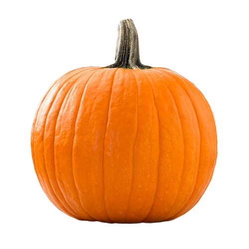 img pumpkin.png