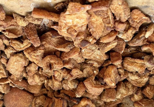 622335755 1283191313618895 2277604802496763484 n.jpg?stp=cp6 dst jpg s590x590 tt6& nc cat=102&ccb=1 .jpg