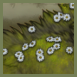 daisy thumbn.png
