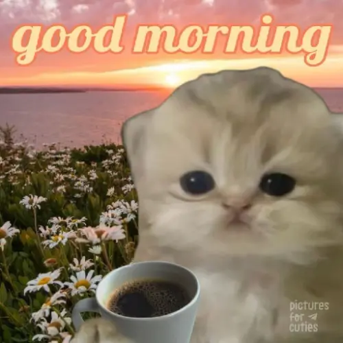 file.webp