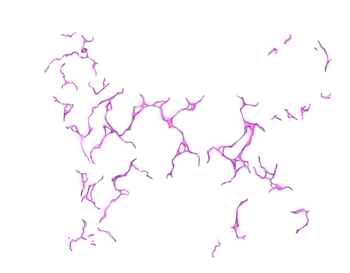 IMG 3091.png