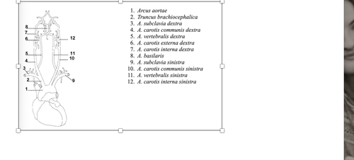 ef3a77d5a276.png