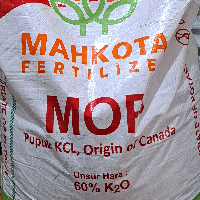 532c8e1d4079.png