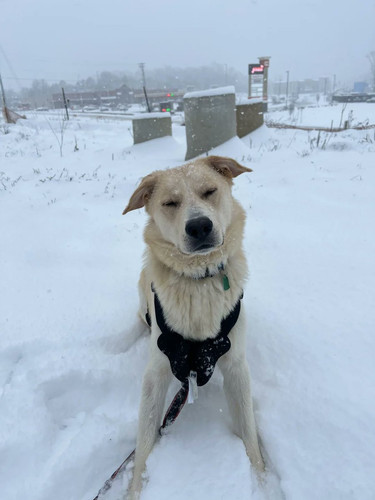 G aN7GrXwAAo8rj?format=jpg.jpg