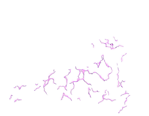 IMG 3080.png