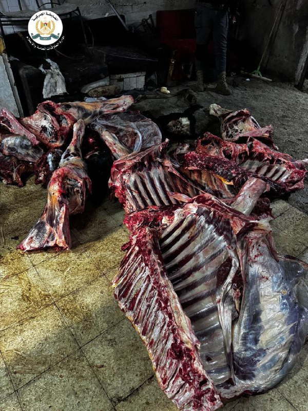 ضبط اكثر من نصف طن من اللحوم الفاسدة في دورا جنوب الخليل ,  نتيجة لظهور علامات تدل على فسادها، حيث أن تناولها قد ينجم عنه مخاطر صحية كبيرة على المستهل...