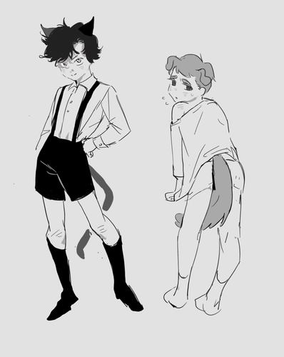 IMG 6116.png