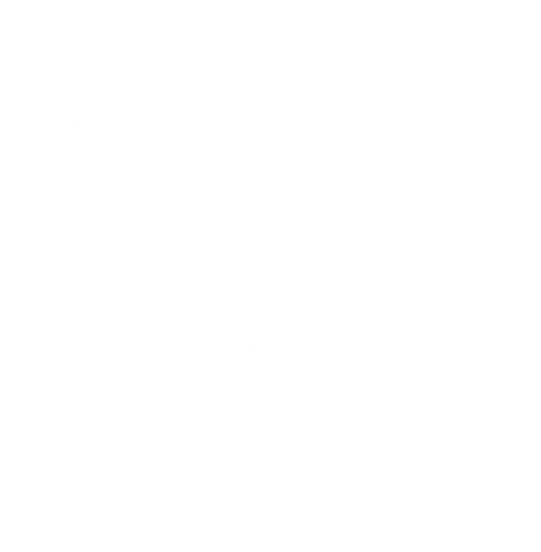 01try (21).png