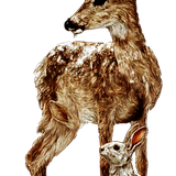 74.png