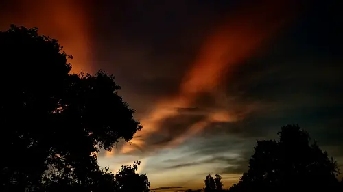 Lion VS Eagle in Sky