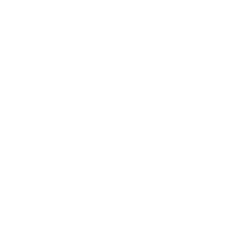 01try (6).png