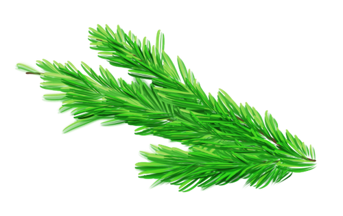 01try (4).png