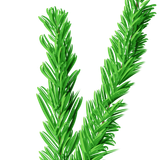 01try (3).png