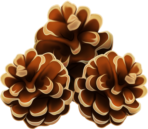 01try (2).png