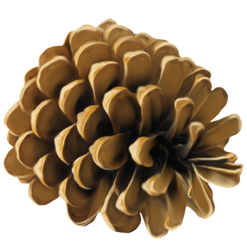 01try (1).png