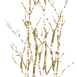 01try (9).png
