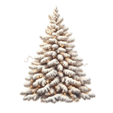 05.png