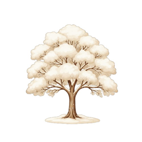 06.png