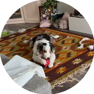 xJrC Py1Apv9YWkb.jpg